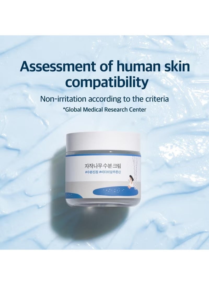 راوند لاب كريم ترطيب عصير البرتش 2.7 فلتر أوز ، 48 ساعة ترطيب الوجه العميق مع عصير البرتش وحمض فيتا الهيالورونيك للبشرة المعرضة للحب الشباب ، يقلل من السبن ، الزيت ، الرؤوس السوداء ، العناية بالبشرة الكورية - Image 3