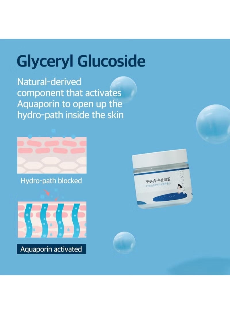 راوند لاب كريم ترطيب عصير البرتش 2.7 فلتر أوز ، 48 ساعة ترطيب الوجه العميق مع عصير البرتش وحمض فيتا الهيالورونيك للبشرة المعرضة للحب الشباب ، يقلل من السبن ، الزيت ، الرؤوس السوداء ، العناية بالبشرة الكورية - Image 5