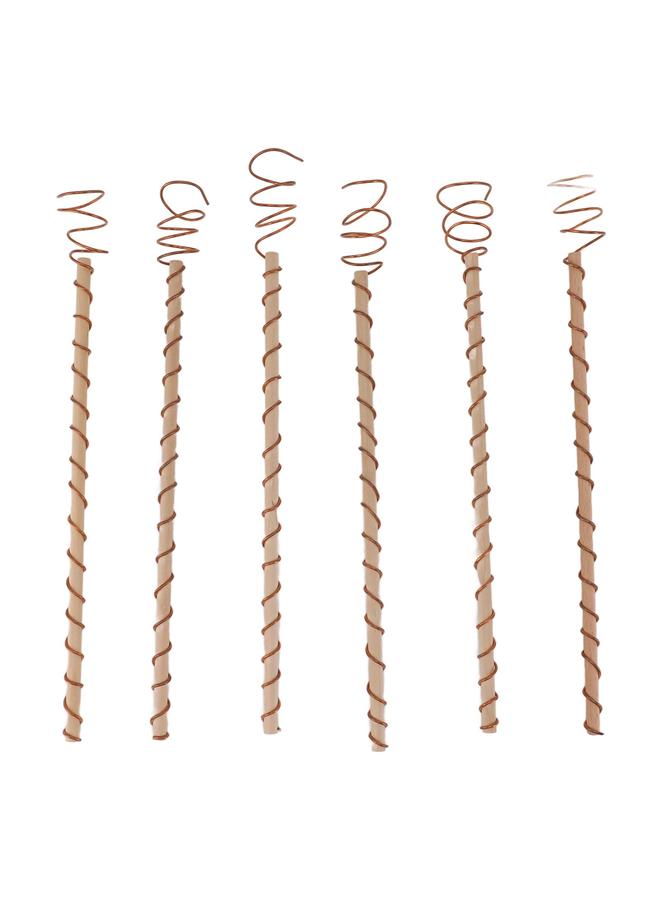 Thoraya 6PCS Electroculture Stakes Stable Support Garden Antenna Copper Coil for Growing Garden Plants Fruits Vegetables  - Image 1