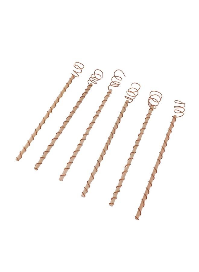 Thoraya 6PCS Electroculture Stakes Stable Support Garden Antenna Copper Coil for Growing Garden Plants Fruits Vegetables  - Image 4