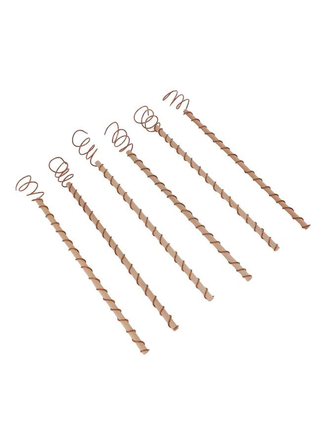Thoraya 6PCS Electroculture Stakes Stable Support Garden Antenna Copper Coil for Growing Garden Plants Fruits Vegetables  - Image 5