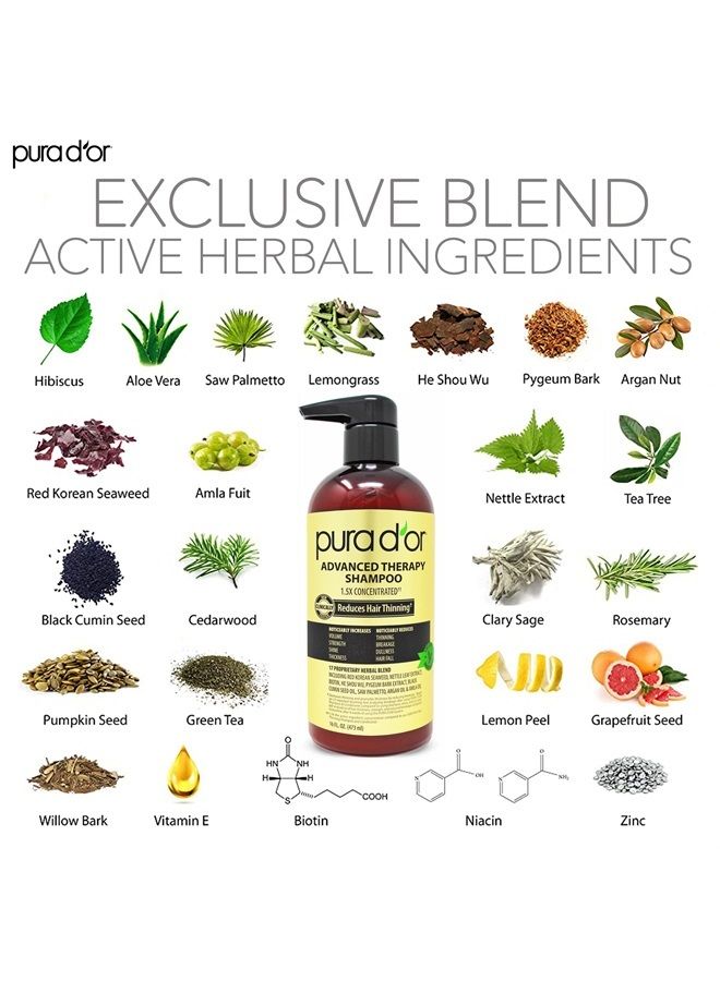 Pura d'or Advanced Therapy Shampoo (16oz) Reduces Hair Thinning & Increases Volume, No Sulfate, Biotin Shampoo Infused with Argan Oil, Aloe Vera for All Hair Types, Men & Women (Packaging May Vary) - Image 2