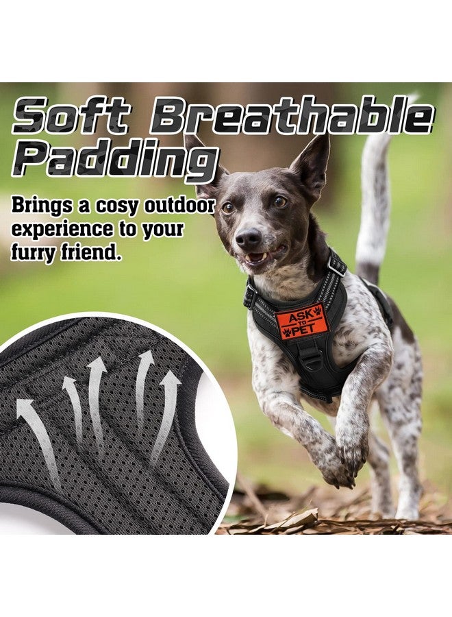 رابيتجو تسخير تكتيكي للكلاب الكبيرة من rabbitgoo، سترة خدمة عسكرية بدون سحب مع مقبض وحزام مولي، تحكم سهل للتدريب على المشي، أحزمة عاكسة قابلة للتعديل، أسود، مقاس كبير - Image 5