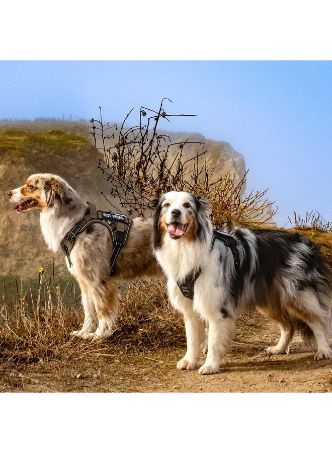 رابيتجو تسخير تكتيكي للكلاب الكبيرة من rabbitgoo، سترة خدمة عسكرية بدون سحب مع مقبض وحزام مولي، تحكم سهل للتدريب على المشي، أحزمة عاكسة قابلة للتعديل، أسود، مقاس كبير - Image 3