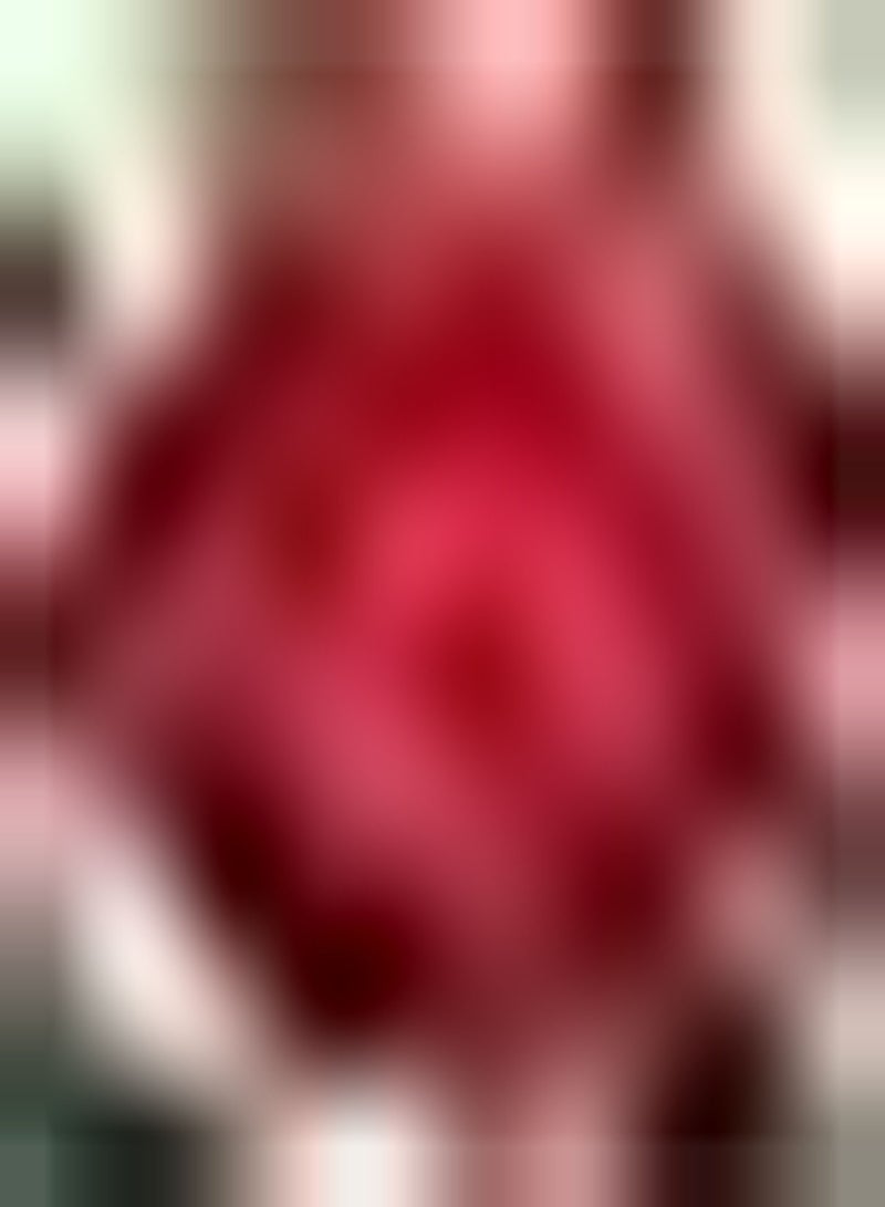 GGOOT 15pcs Red Camellia seeds for Indoor Outdoor Planting Garden Essential Perennial Ornamental Flowers for DIY Home Decoration Craft Art Decoration - Image 2