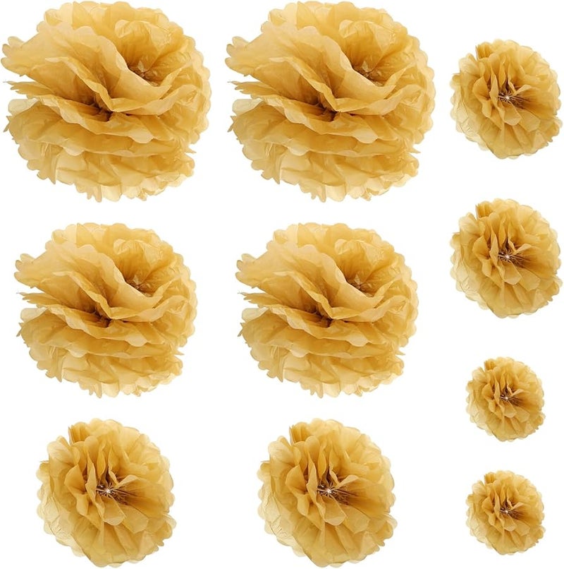 10 Pcs Tissue Paper Pom Poms Party Decorations For Wedding Birthday Festival - Image 2