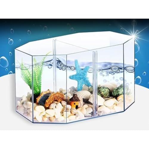 KSH STORE ®Double Compartment Betta Fish Tank with Divider, 2 INCH Plant- 2,Acrylic Breeding Box for Fish, Shrimp and Jellyfish Colour May Vary - Image 1