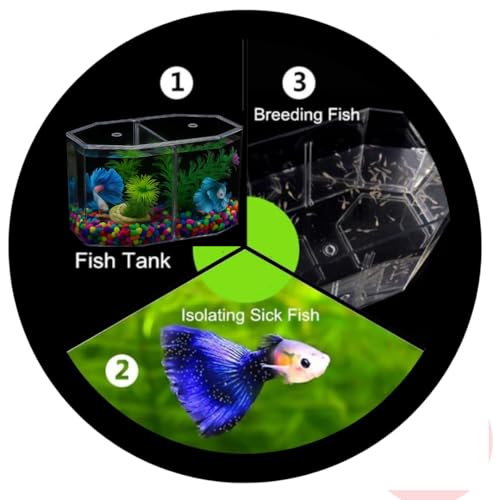 KSH STORE ®Double Compartment Betta Fish Tank with Divider, 2 INCH Plant- 2,Acrylic Breeding Box for Fish, Shrimp and Jellyfish Colour May Vary - Image 2