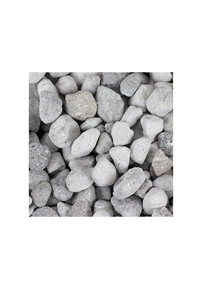 Seachem Matrix High Capacity Biofiltration Media - 4 Liters for Marine and Freshwater Aquariums - Image 2