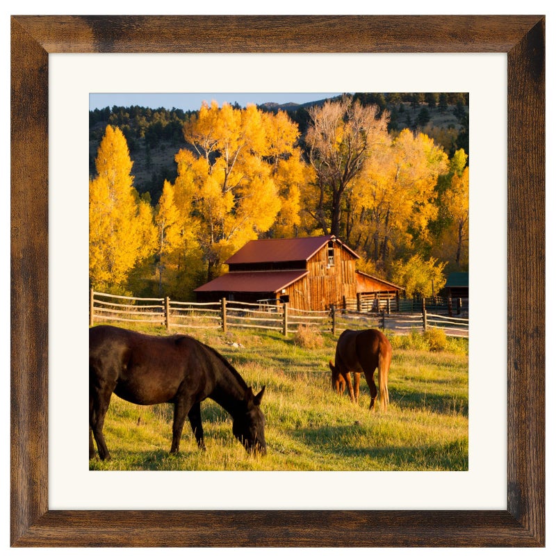 AEVETE Picture Frame 10x10 Dark Brown Photo Frames Rustic for Wall and Desk Decor - Image 1