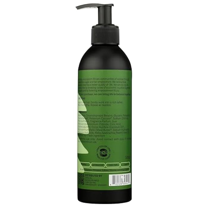 Ayeya AYÉYA Reset Clarifying Shampoo with Neem, Peppermint & Eucalyptus | Detoxifying Plant-Based Cleanser for Oily Hair | Sulfate-Free Vegan Shampoo for Men & Women, 12 Fl Oz - Image 2