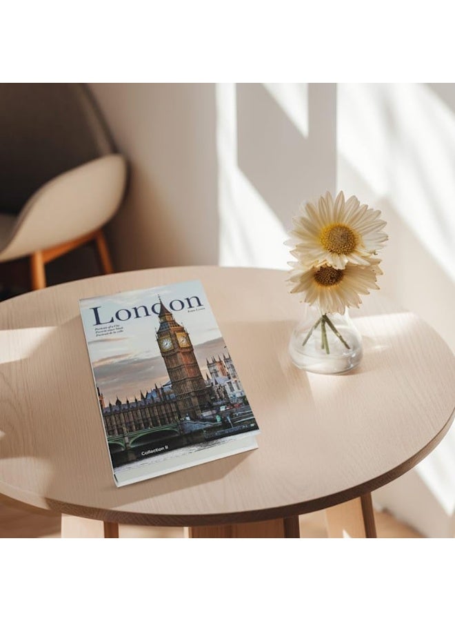 Coffee Table Decorative Books For Home Decor, Fake Books For Decoration, Aesthetic Bookshelf Decor for Living Room Office Bedroom, 3 Piece - Image 3