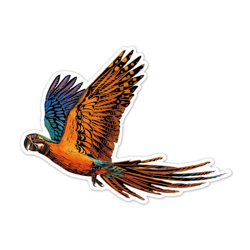 Avenir - Scratch Stickers -Bird Multicolour |  Decorate and colour the 4 ferocious stickers with scratch art | For ages 3 years+ - Image 5