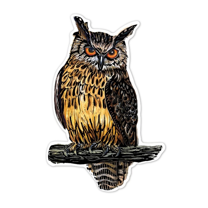 Avenir - Scratch Stickers -Bird Multicolour |  Decorate and colour the 4 ferocious stickers with scratch art | For ages 3 years+ - Image 4