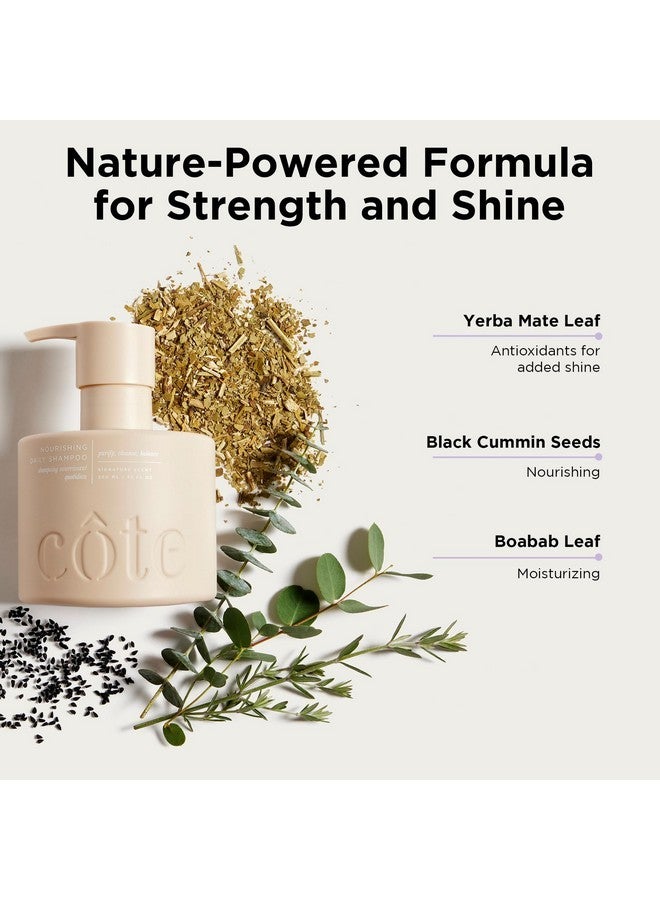 Cote Shop Côte Beauty Nourishing Daily Shampoo | Prevents Breakage, Deep Cleans & Hydrates | Black Cumin Seed, Baobab Seed, Yerba Mate Extract | 300mL | Vegan, Cruelty-Free, Made in the USA - Image 2
