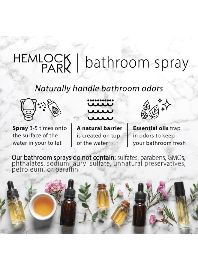 hemlock park White Sage Cleansing Smudge Spray Smokeless Smudging Alternative Palo Santo White Sage 4 Ounce Spray Bottle - Image 2