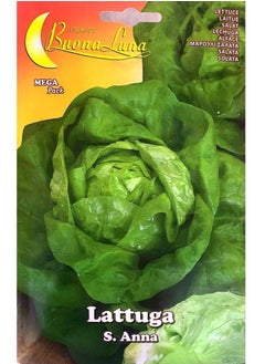 LETTUCE seeds - pzsku/ZE2A781CF554DC54A0293Z/45/_/1669640126/16feb13c-ea6b-4b37-9c52-eadb6cff182e