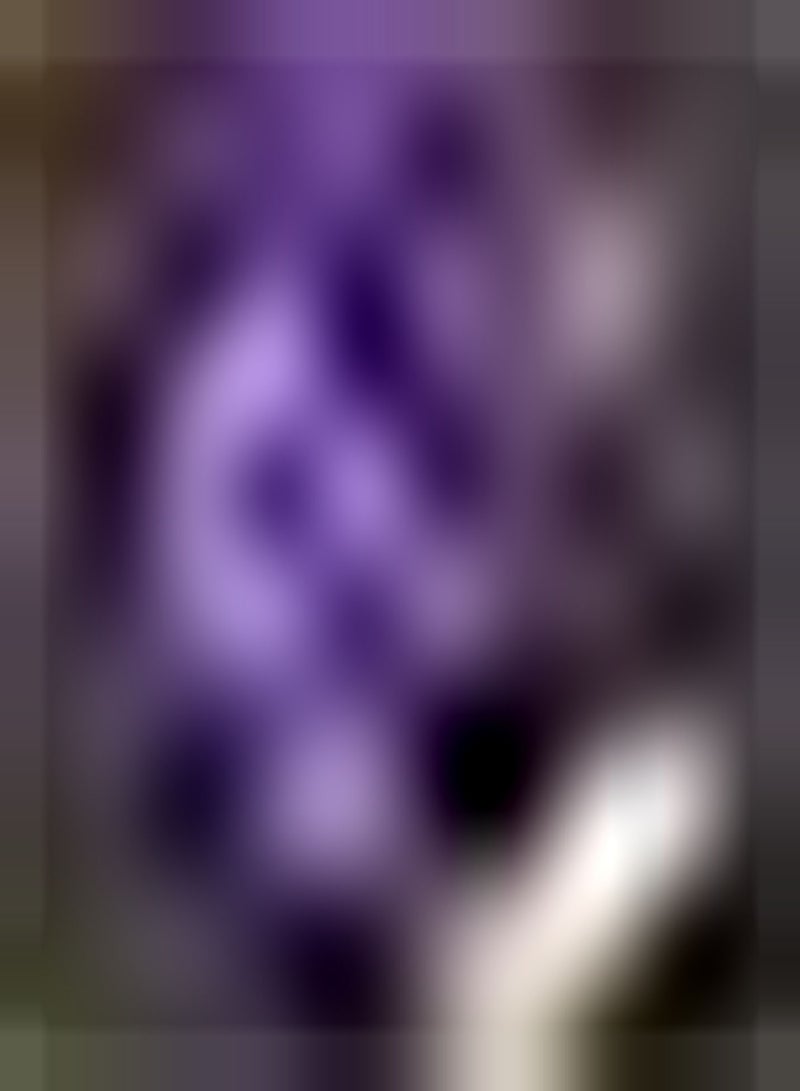 GGOOT 5pcs paarse irisbollen geplant in de tuin charmante bloemengeur vooral geschikt voor het decoreren Van het huis en om EEN adembenemend landschap te Worden - Image 1