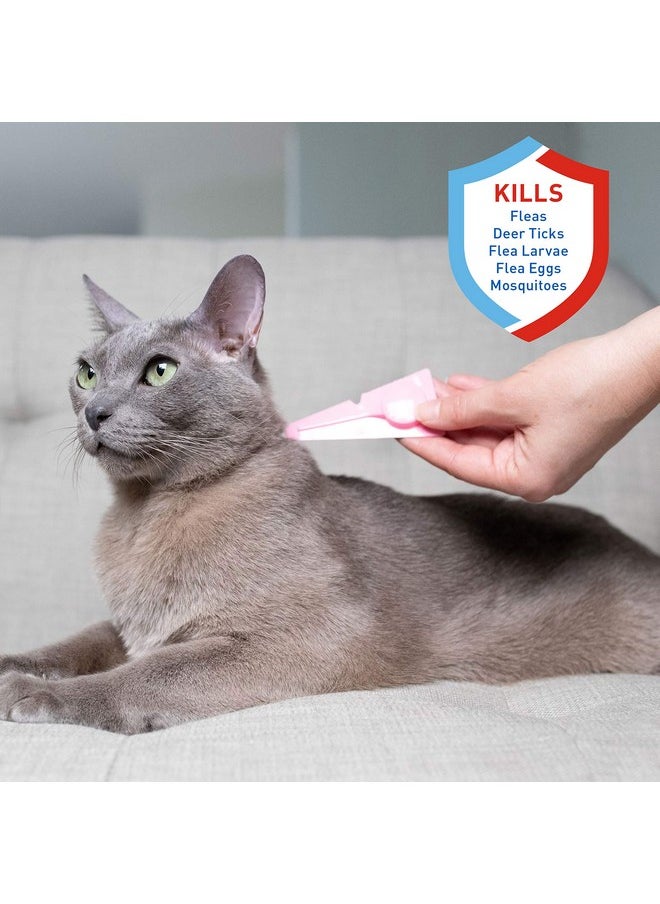 ADAMS ADAMS Plus Flea & Tick Spot On for Cats 5 lbs and Over  - Image 3