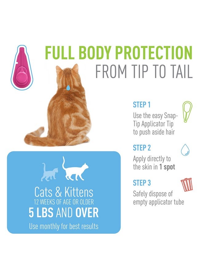 ADAMS ADAMS Plus Flea & Tick Spot On for Cats 5 lbs and Over  - Image 4