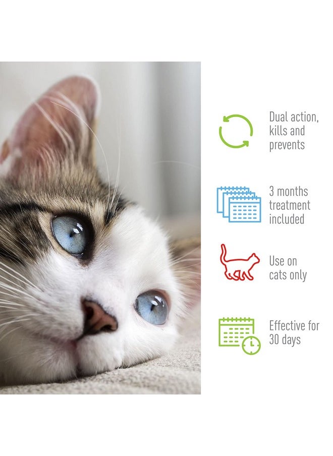 ADAMS ADAMS Plus Flea & Tick Spot On for Cats 5 lbs and Over  - Image 5