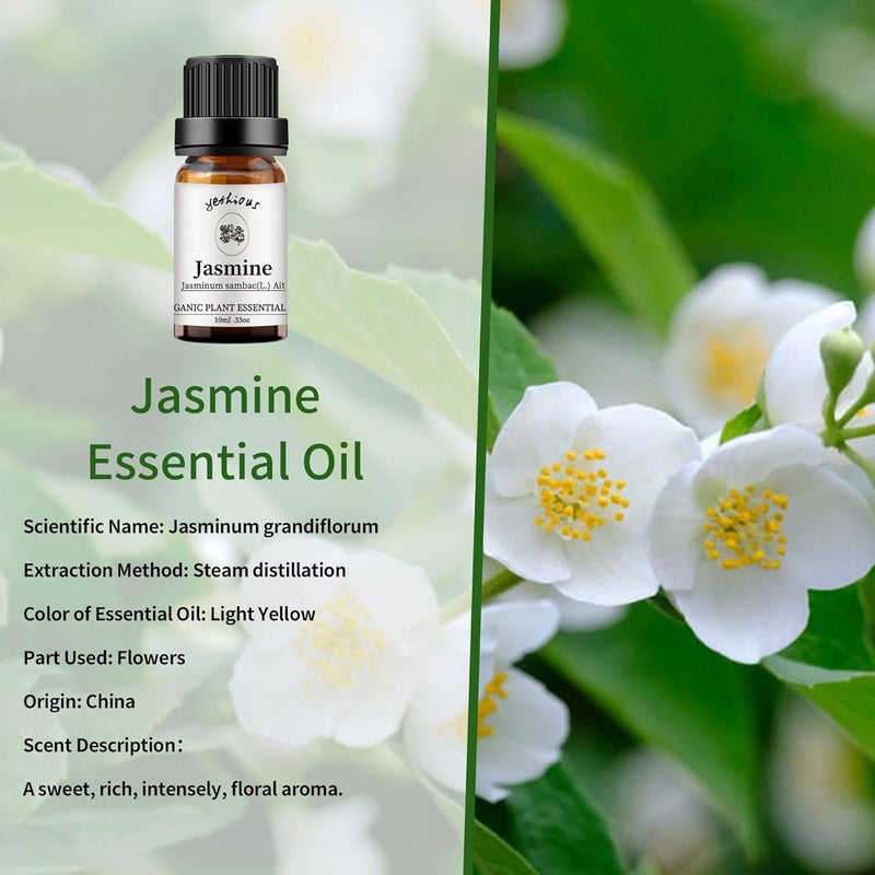 زيت اليوشيوس العطري للفل والصندل 100% مجموعة زيوت عطرية عضوية نقية للعطور للمرذاذ، صناعة الصابون، الشموع - Image 2