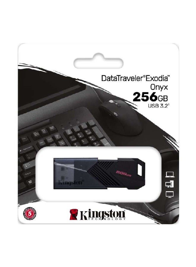 كينغستون 256 جيجابايت محمول USB 3.2 Gen 1 FlashDrive DataTraveler Exodia Onyx