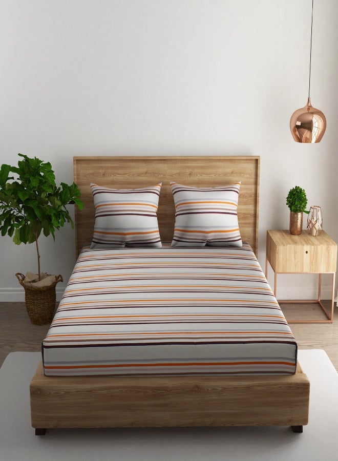 RISHAHOME 3-Piece 180 TC Printed Cotton Bedsheet Set Queen Size – Premium Collection with 2 pillow cover - Image 2