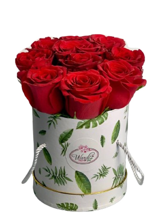 wardi Red Solstice Box