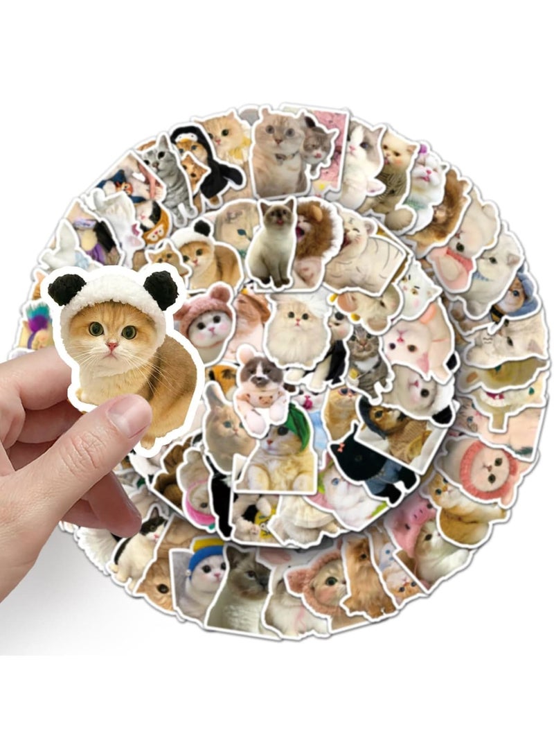 SOLARAE 100 Pcs Cat Stickers, Water Bottle Stickers, Waterproof Stickers, Animal Sticker Aesthetic, Funny Cat Stickers Set for Water Bottles, Laptops, Skateboards, Phone, Luggage, Fridge, Guitar, Gift - Image 3