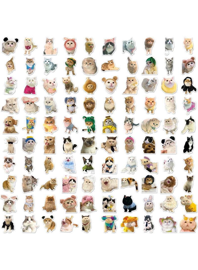 SOLARAE 100 Pcs Cat Stickers, Water Bottle Stickers, Waterproof Stickers, Animal Sticker Aesthetic, Funny Cat Stickers Set for Water Bottles, Laptops, Skateboards, Phone, Luggage, Fridge, Guitar, Gift - Image 5