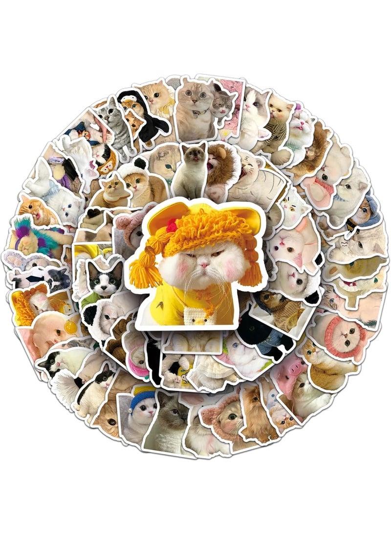 SOLARAE 100 Pcs Cat Stickers, Water Bottle Stickers, Waterproof Stickers, Animal Sticker Aesthetic, Funny Cat Stickers Set for Water Bottles, Laptops, Skateboards, Phone, Luggage, Fridge, Guitar, Gift - Image 1