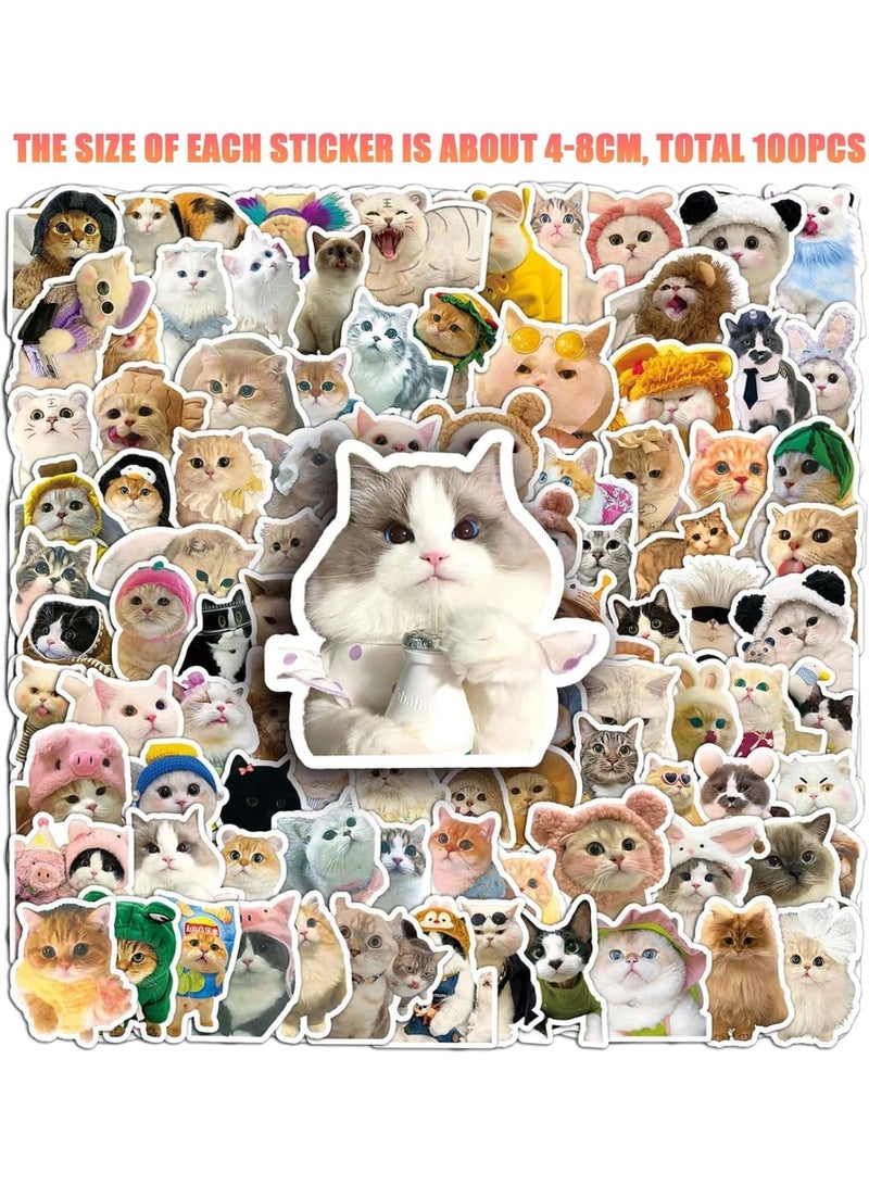 SOLARAE 100 Pcs Cat Stickers, Water Bottle Stickers, Waterproof Stickers, Animal Sticker Aesthetic, Funny Cat Stickers Set for Water Bottles, Laptops, Skateboards, Phone, Luggage, Fridge, Guitar, Gift - Image 2