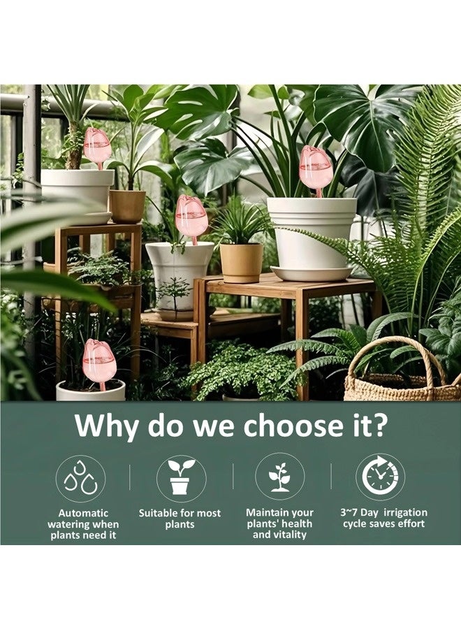 ShebSheb 4 Pcs Tulip‑Shaped Self‑Watering Globes, Automatic Watering Bulbs for Indoor and Outdoor Plants, Plastic Watering Devices Suitable for Home and Garden Use - Image 2