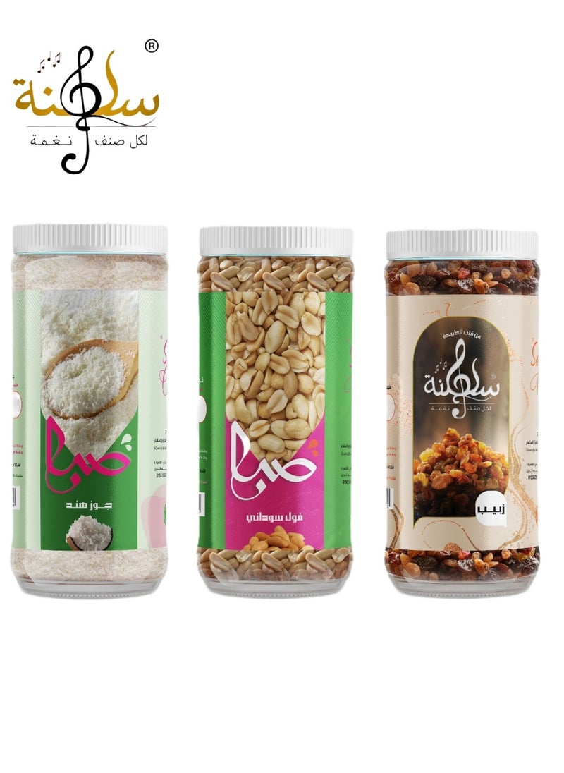 Saltana raisin ground coconut and peanut 670 gm 