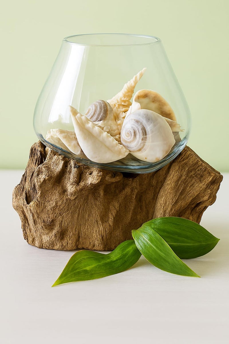 OMA مزهرية تيراريوم أو نبات من زجاج مصهور على خشب درفتوود، مصنوعة يدويًا، للديكور المنزلي الساحلي بوهيمي، ارتفاع 6 7 إنش