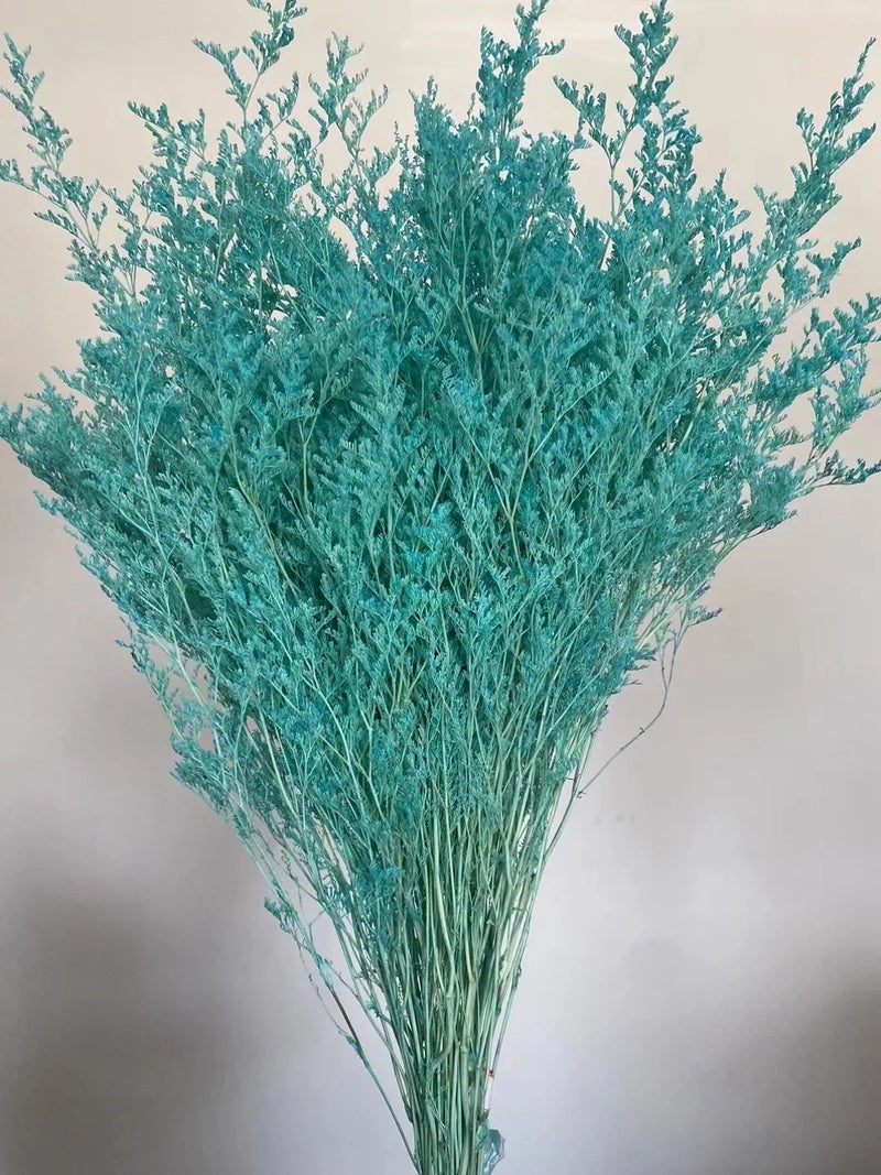 Bluejw Statice Caspia Dried Flowers - Misty Grass Preserved Limonium Sea Lavender for Wedding & Event Decor - Natural Dried Plants - Image 1