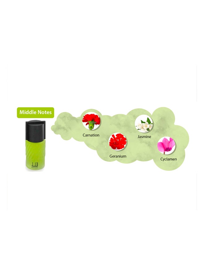 دانهيل عطر اديشين - ماء تواليت 100ملليلتر - Image 5