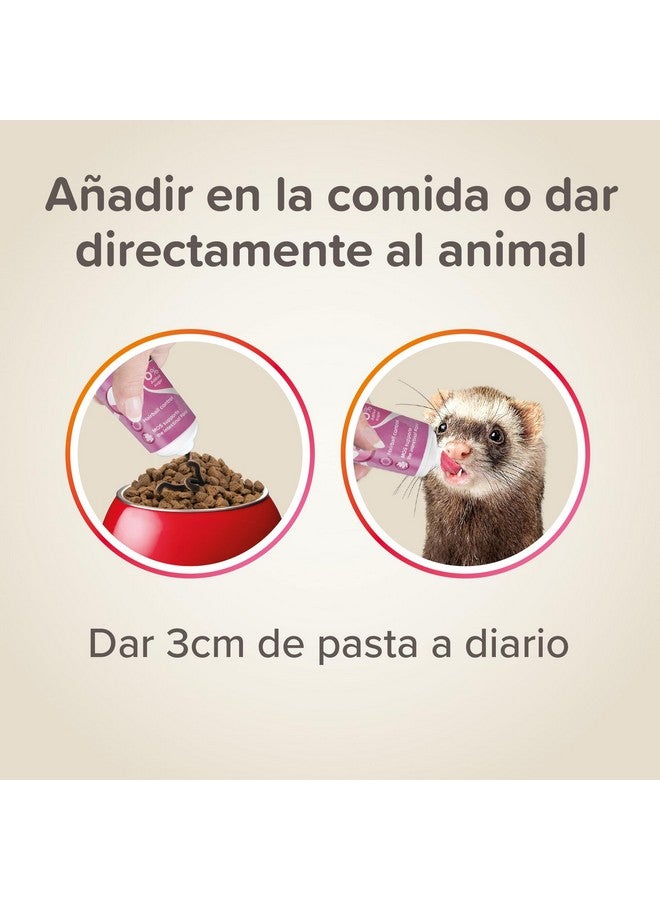 بيفار مكمل غذائي وفيتامينات من عجينة الشعير للقوارض - Image 4