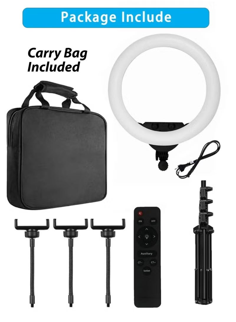 DBLEW 22 Inch Dimmable Circle LED Studio Selfie Ring Light With 90Inch Tripod Stand Remote And 3 Mobile Phone Holders For Makeup Camera Photography YouTube Video Shoot TikTok Vlog Live Stream With Carry Bag - Image 2