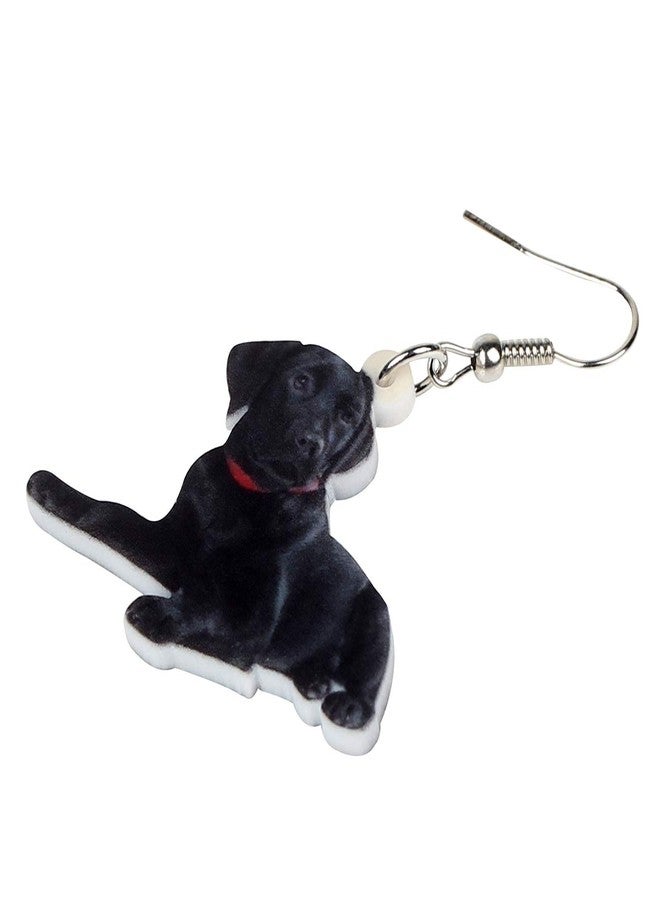 NEWEI Acrylic Lying Black Labrador Dog Dangle Earrings Drop Animal Jewelry For Women Gift Charm Accessories - Image 4