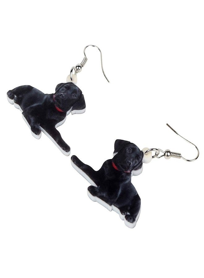 NEWEI Acrylic Lying Black Labrador Dog Dangle Earrings Drop Animal Jewelry For Women Gift Charm Accessories - Image 3