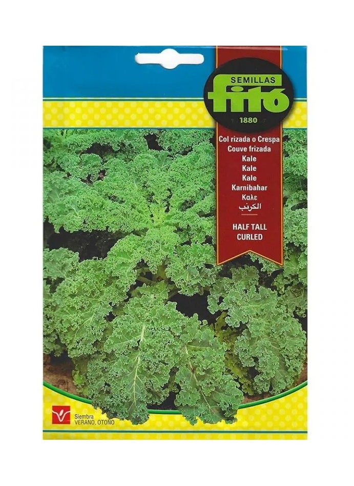 Kale Premium Quality Seeds by Semillas Fito - pzsku/ZE2B4C0D3736B5127C719Z/45/_/1727272117/0ce15ec4-8071-4efc-92e2-14a35717ffa5