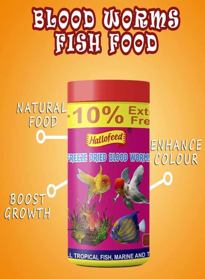 Hallofeed Fisher Men Hallofeed Freeze Dried Blood Worms Fish Food: Ideal for All Adult Fish Species, Promoting Growth and Development | 10g, Pack of 2 - Image 4