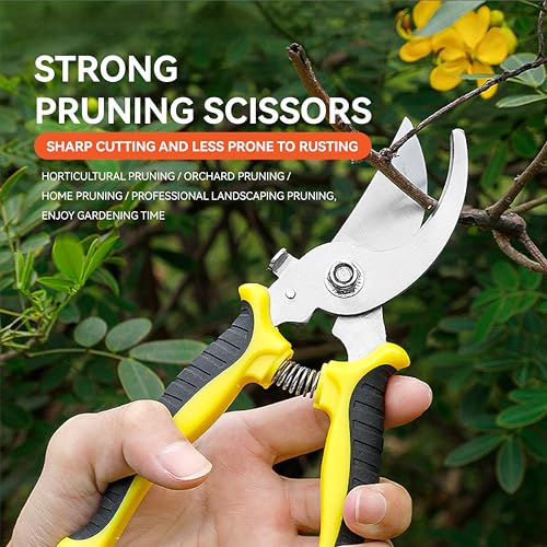 Oligitdi Heavy Duty Plant Cutter For Home Garden Scissors, Plant Branch Cutter For Tree, Pruner Cutter Heavy Duty, Garden Tools For Home Gardening Scissors, Prunning Branch Cutter For Garden - Image 4