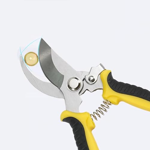 Oligitdi Heavy Duty Plant Cutter For Home Garden Scissors, Plant Branch Cutter For Tree, Pruner Cutter Heavy Duty, Garden Tools For Home Gardening Scissors, Prunning Branch Cutter For Garden - Image 1