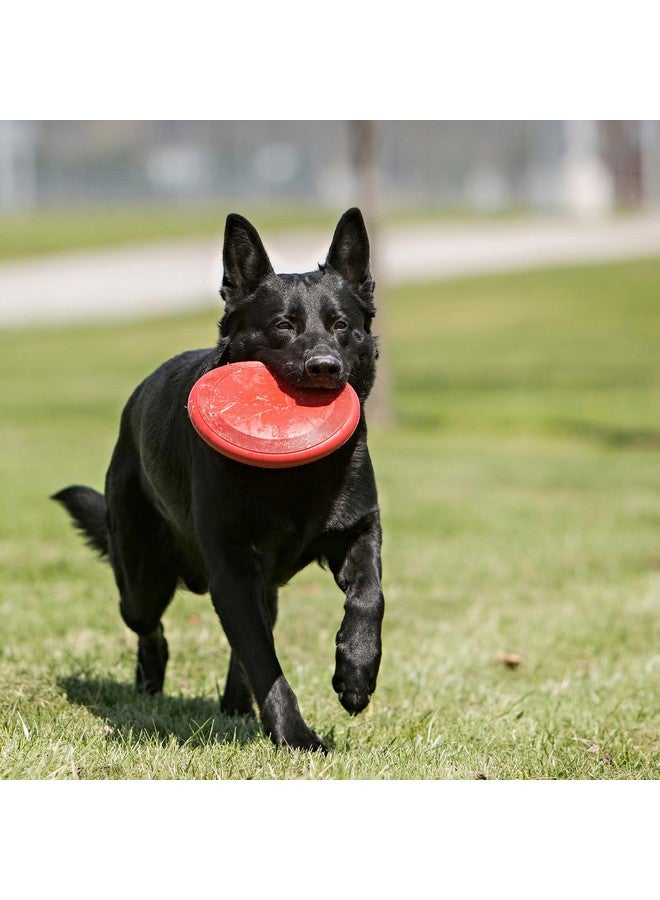 كونج لعبة كونغ فلاير - لعبة متينة للكلاب للعب في الهواء الطلق - قرص طائر من المطاط الطبيعي، لعبة للكلاب للعب والإحضار - قرص أكثر أمانًا لنشاط صحي - للكلاب المتوسطة/الكبيرة - Image 4