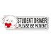 Picassosky Patient Please Wait New Driver Decal Sign Girl Safety Magnet for Car - Image 2