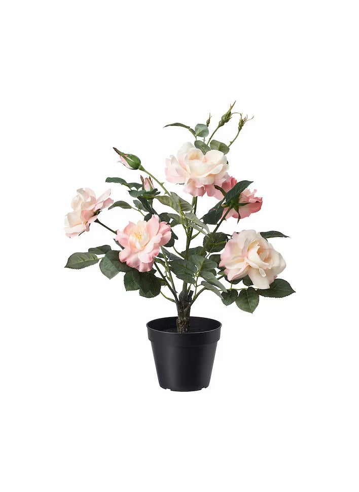 FEJKA Artificial potted plant, in/outdoor/Rose pink, 12 cm - pzsku/ZE2BAD819D51E1C2B0BFDZ/45/_/1723629564/36a9c42f-b7a3-4fcd-b6bb-33319ec91f8c