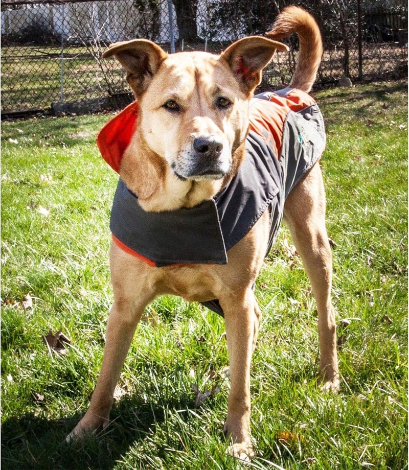 PuTwo DOGHELIOS LotusRusher Waterproof 2in1 Pet Dog Jacket Coat with Removable Polar Fleece Lining w Blackshark technology XSmall Orange Charcoal Grey Light Grey - Image 5